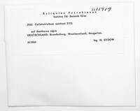 Image Associated With the Occurence